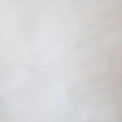 Wit
