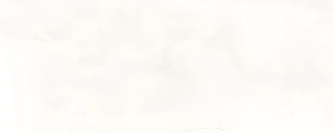 Wandtegel 200X500 White 8,5mm Mat