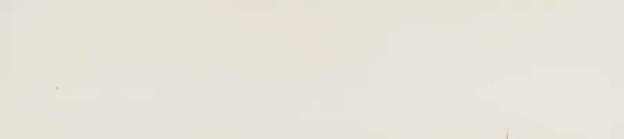 Marazzi Lume Off White glans 6x24