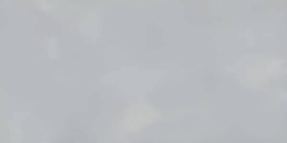 Wandtegel 298X598 Light Grey 8mm Mat