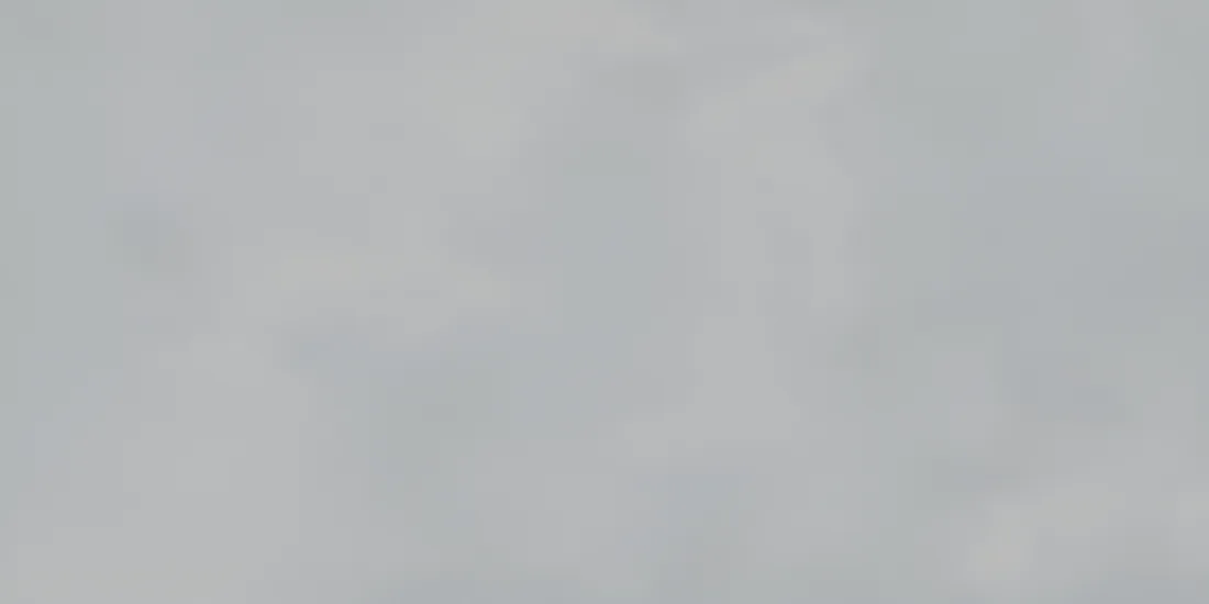 Wandtegel 298X598 Light Grey 8mm Mat