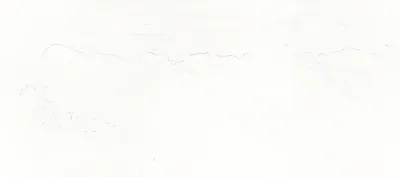 Wit