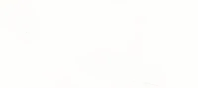 Wandtegel 600X1350 Bianco 9mm Mat Ret.