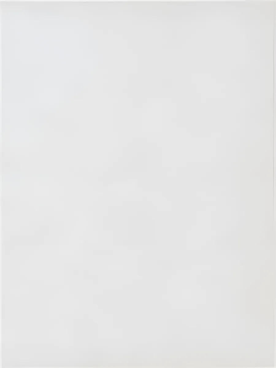 Wandtegel 150X200 Wit-Grijs 6.3mm Glans L.Z.G.
