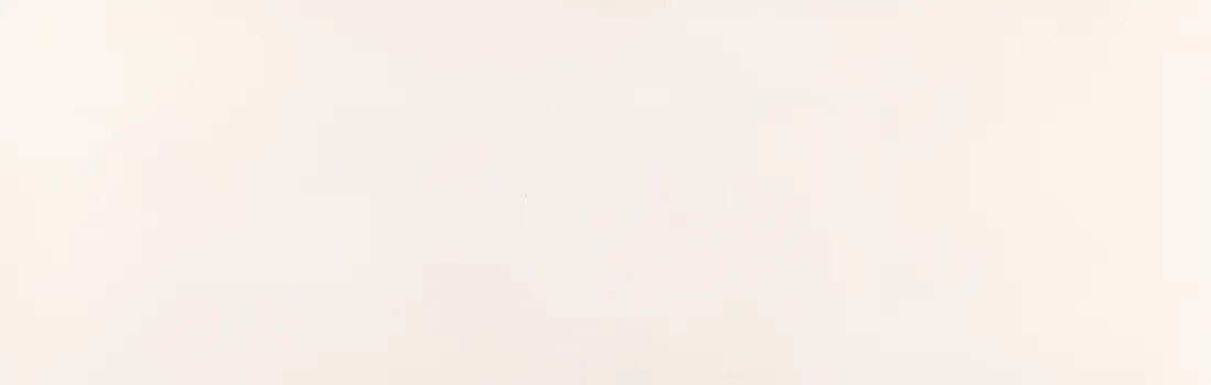 Wandtegel 300X900 Blanco 10mm Mat Ret.