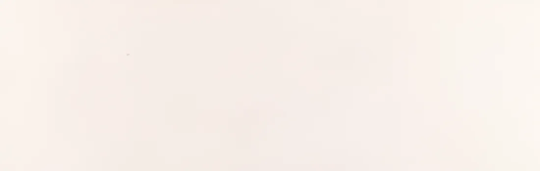 Wandtegel 300X900 Blanco 10mm Mat Ret.