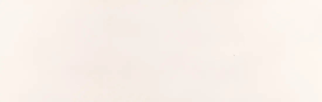 Wandtegel 300X900 Blanco 10mm Mat Ret.