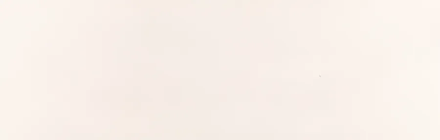 Marazzi Caracter Blanco mat 30x90