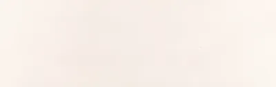 Wandtegel 300X900 Blanco 10mm Mat Ret.