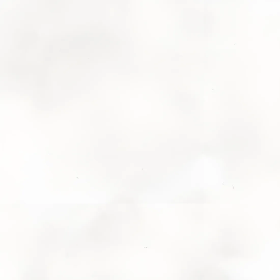 Vloertegel 448X448 White Grey 8mm Mat R10