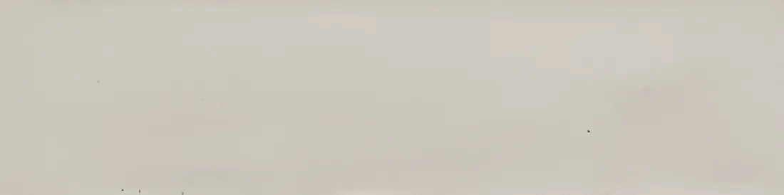 Vloertegel 060X240 Bone Lux 10mm Glans