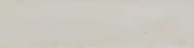 Vloertegel 060X240 Bone Lux 10mm Glans
