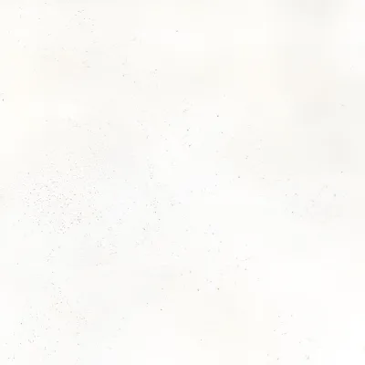 Wit