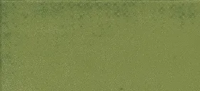 Vives 1900 9x20 Verde