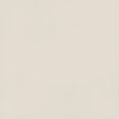 Carmen Argillae Neve Rect 60x60