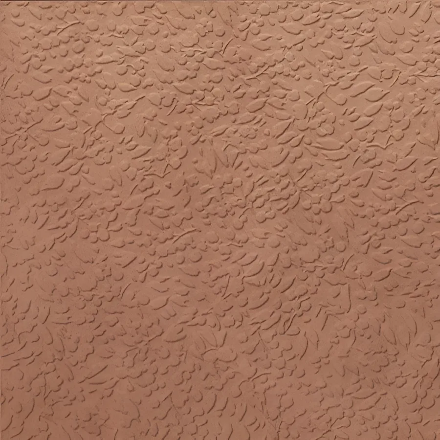 Carmen Argillae Nisus Terra Rect 60x60