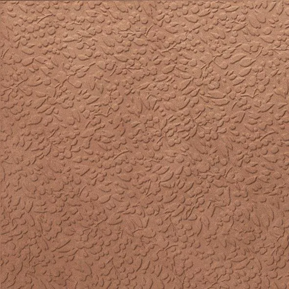 Carmen Argillae Nisus Terra Rect 60x60