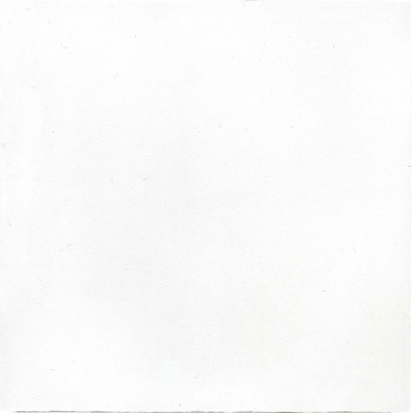 Revoir Paris Atelier Blanc de Lin Mat 10x10