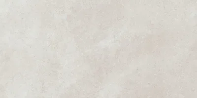 Wit