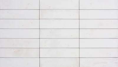 Tonalite Foliage Bianco 6x25