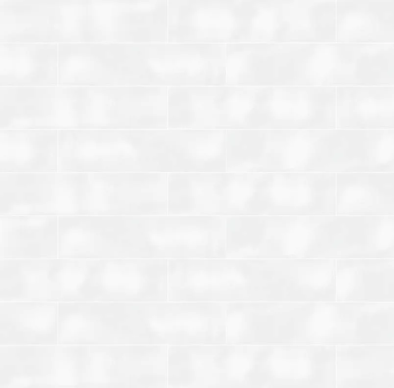 Vives Javea Blanco Brillo 8x31,5