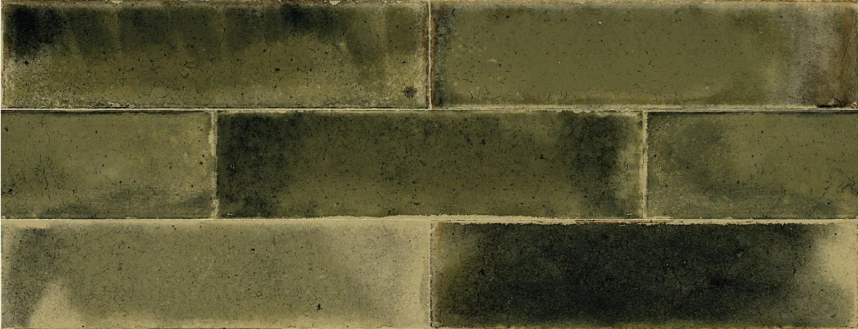 Cifre Jazba Olive Brillo 6x24,6