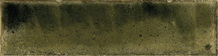 Cifre Jazba Olive Brillo 6x24,6