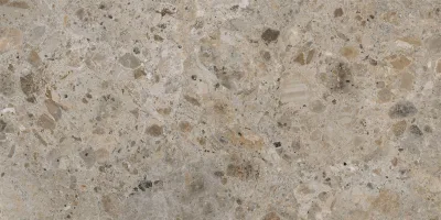 Grijs