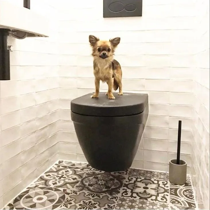 Ceramica Antiga Kent Snow White 7,5x15