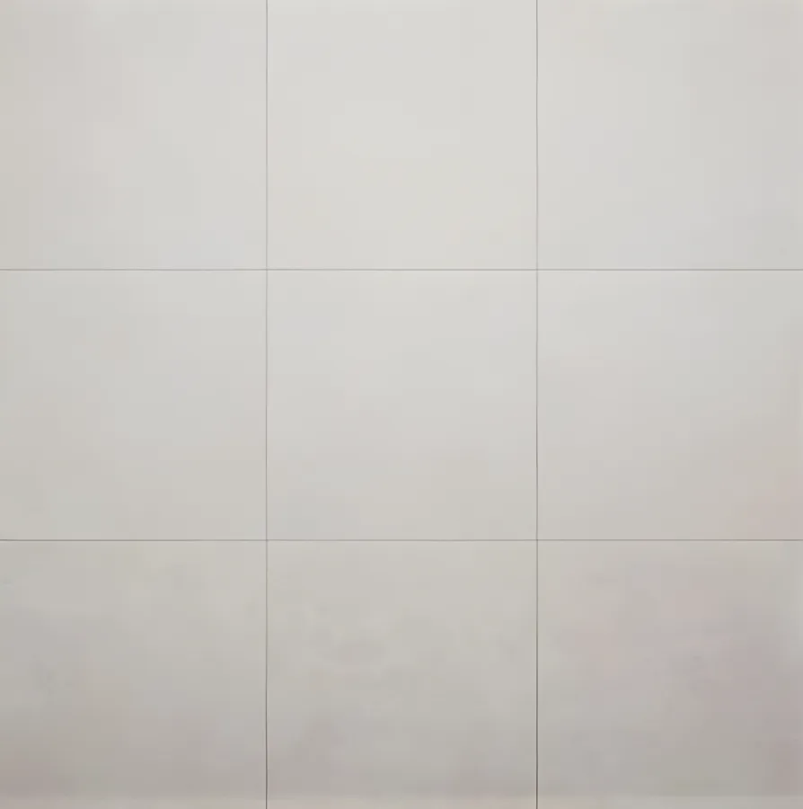 Villeroy & Boch Urban Jungle Grijs mat 80x80 (2TC102810)