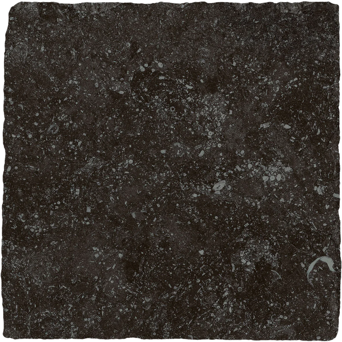 Antic Decor Pave Belgica 19,7x19,7