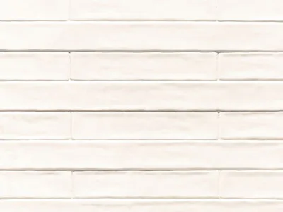 Natucer Piastrella 5x25 Naturale