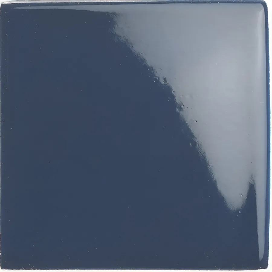 Natucer Pool Porc. Indigo 10x10
