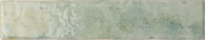 Wow Potters Agave 5x25