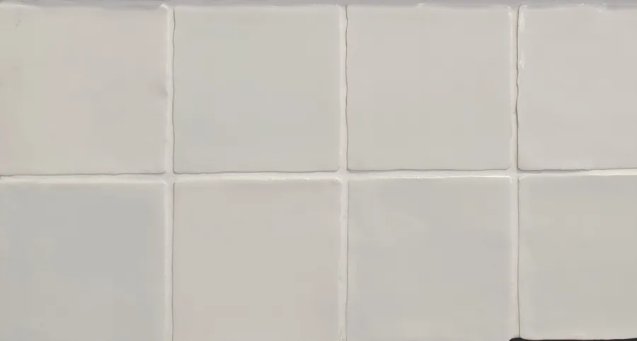 Dreamtile Retiro Witjes Holland Mix 10x10