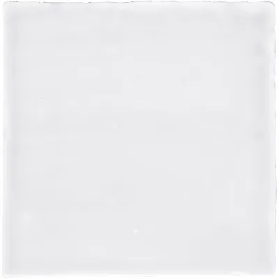 Dreamtile Retiro Witjes Holland Mix 10x10