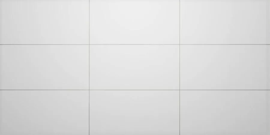 Sphinx Projecta Wit mat 30x60 (002100XK)