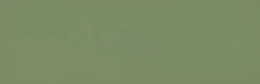 Vives Zepto Verde 4,2x13