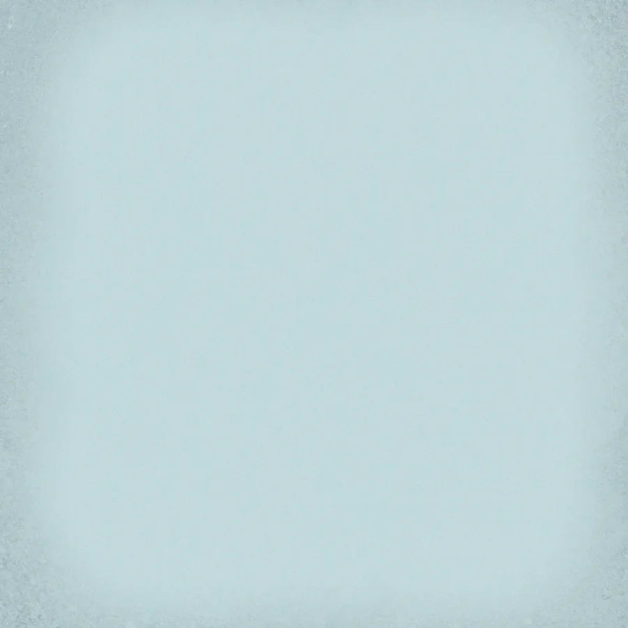 Vives 1900 20x20 Gris