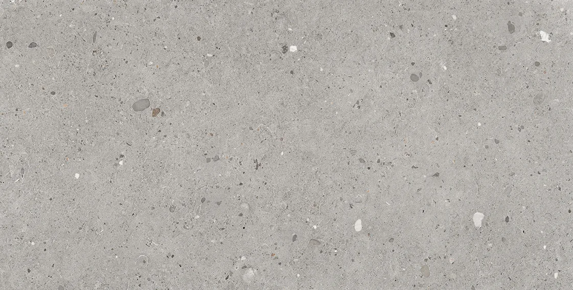 Emilgroup Alter Ego Grigio 60x120