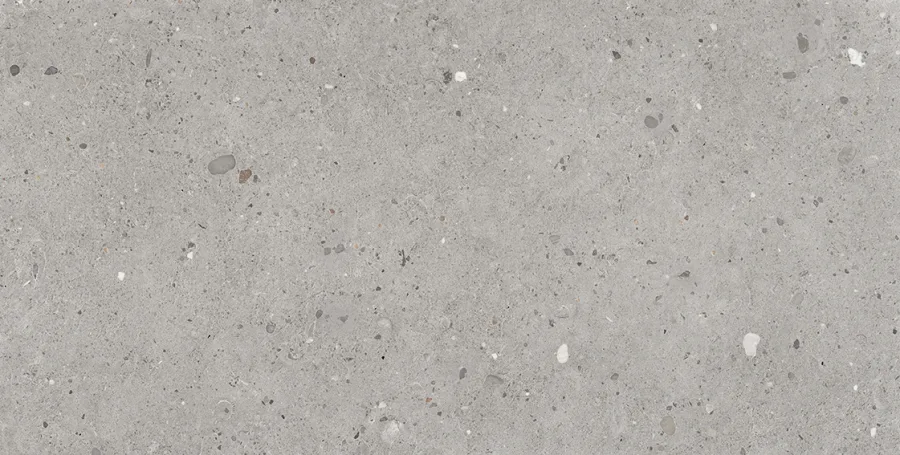 Emilgroup Alter Ego Grigio 60x120