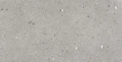 Emilgroup Alter Ego Grigio 60x120