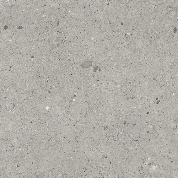 Emilgroup Alter Ego Grigio 60x60