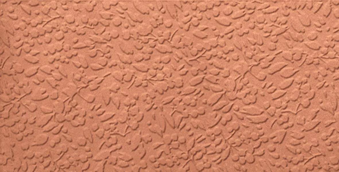 Carmen Argillae Nisus Coral Rect 30x60