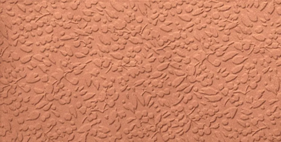 Carmen Argillae Nisus Coral Rect 30x60