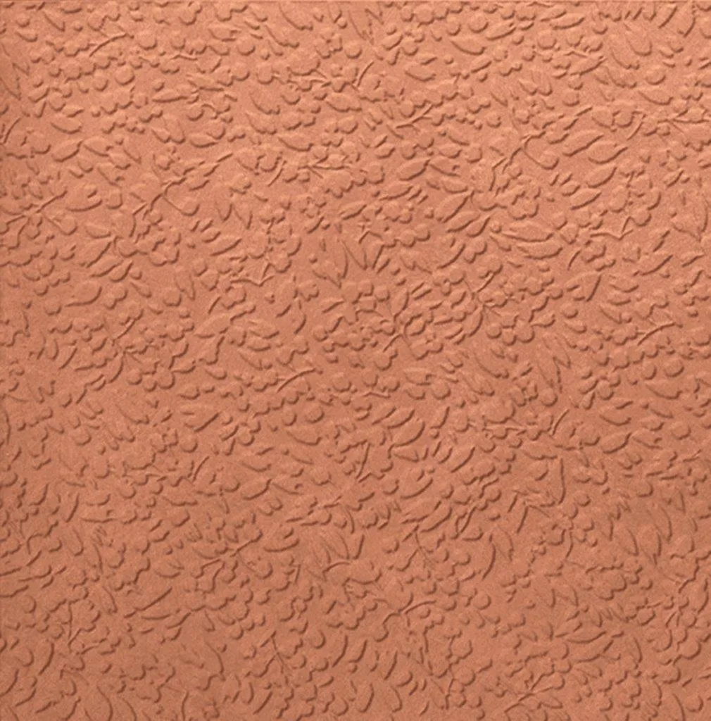 Carmen Argillae Nisus Coral Rect 60x60