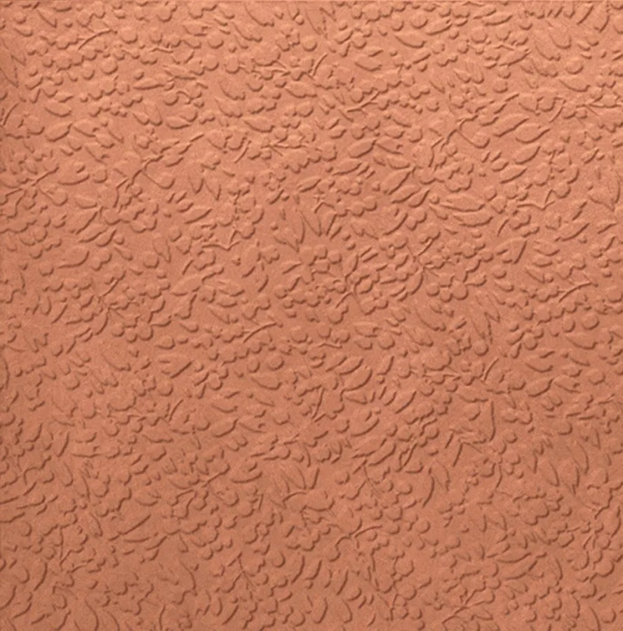 Carmen Argillae Nisus Coral Rect 60x60