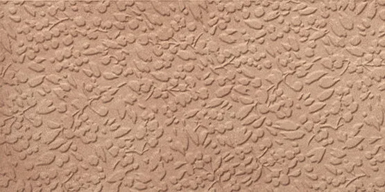 Carmen Argillae Nisus Gobi Rect 30x60