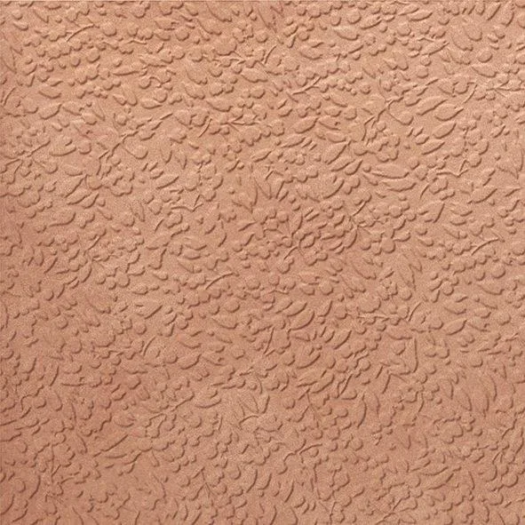 Carmen Argillae Nisus Gobi Rect 60x60