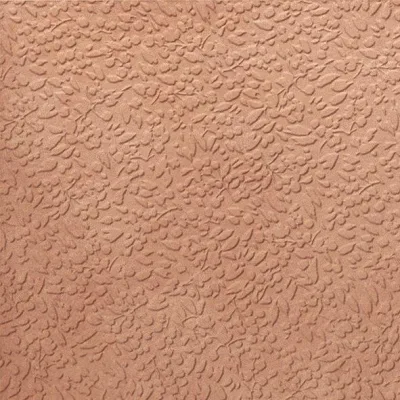 Carmen Argillae Nisus Gobi Rect 60x60